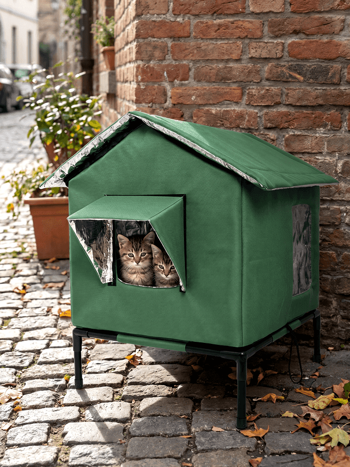 Cat house for Sheltered street corner