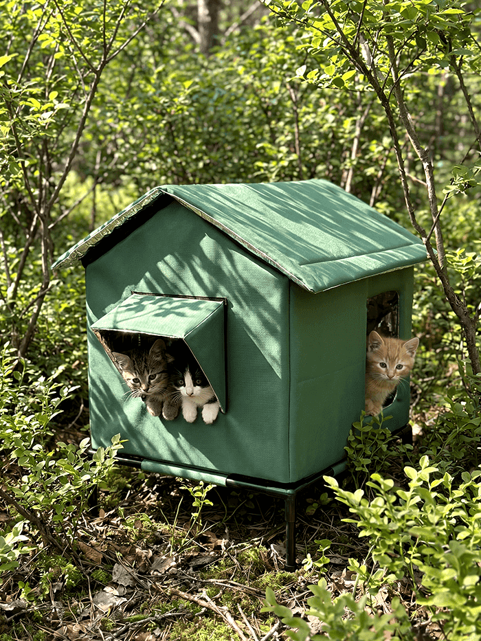 Cat house for Outdoor cat areas