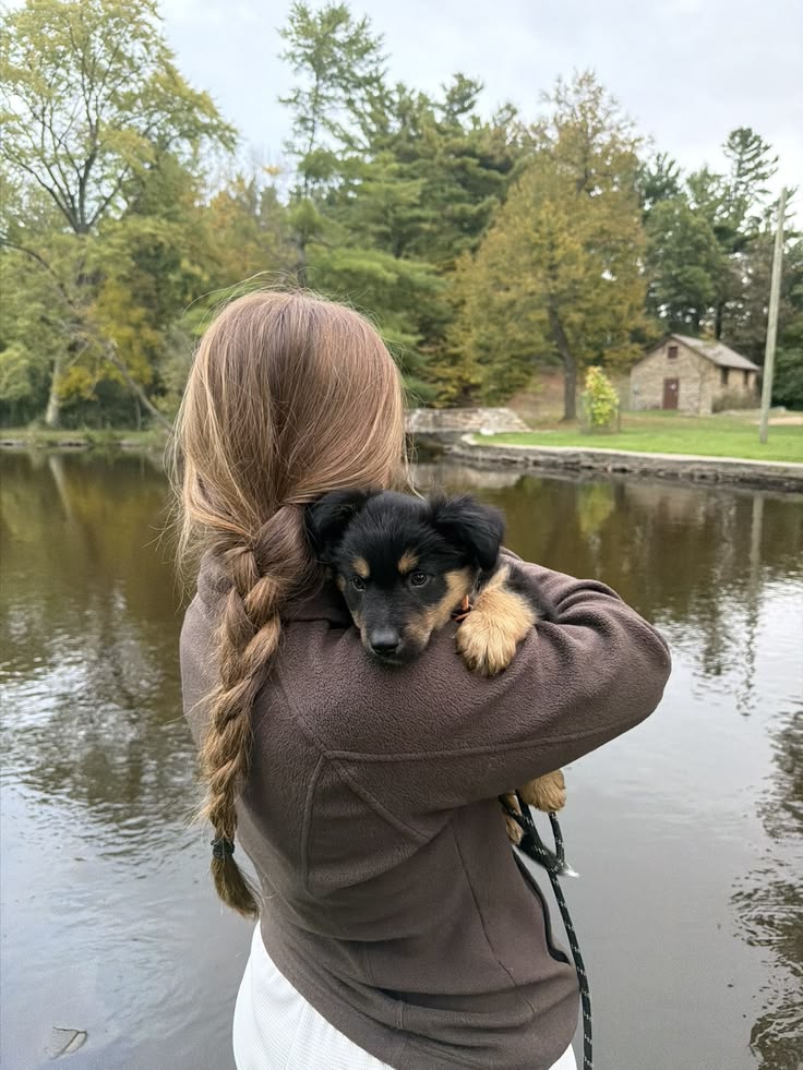 files/fall_puppy_Dog_aesthetic_puppies.jpg