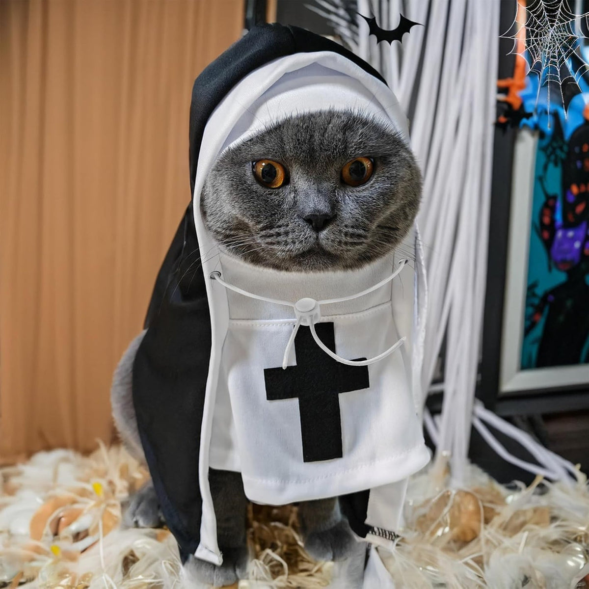 pt-00bbde4bd0eb-gato_3.jpg