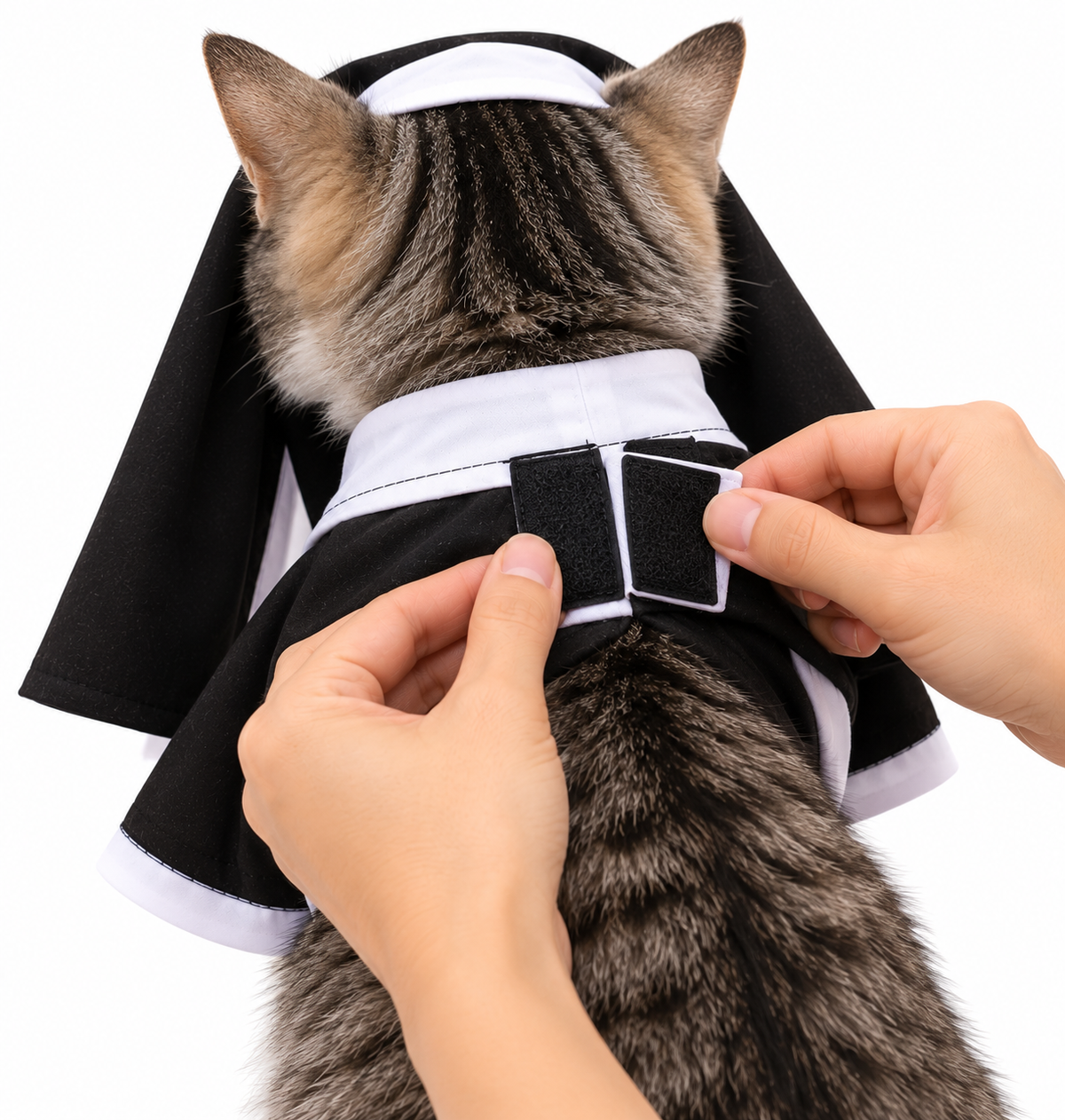 pt-917581c14d0e-Gato_con_habito_y_cierre_de_velcro.png